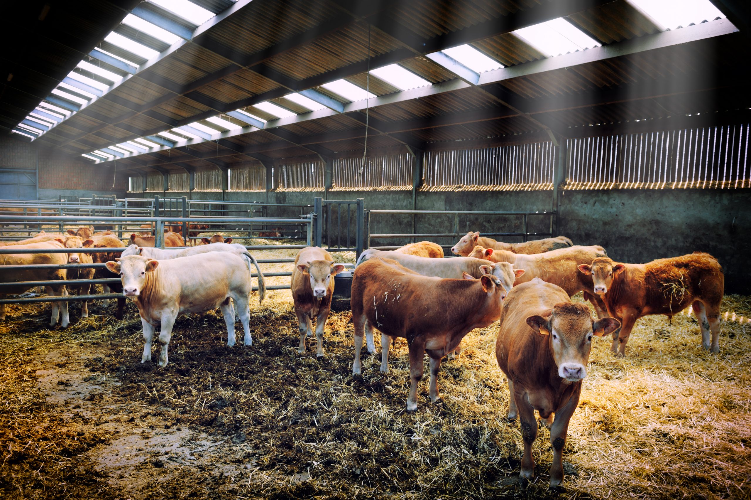  16 Best Livestock Management Apps 2023 Free & Paid