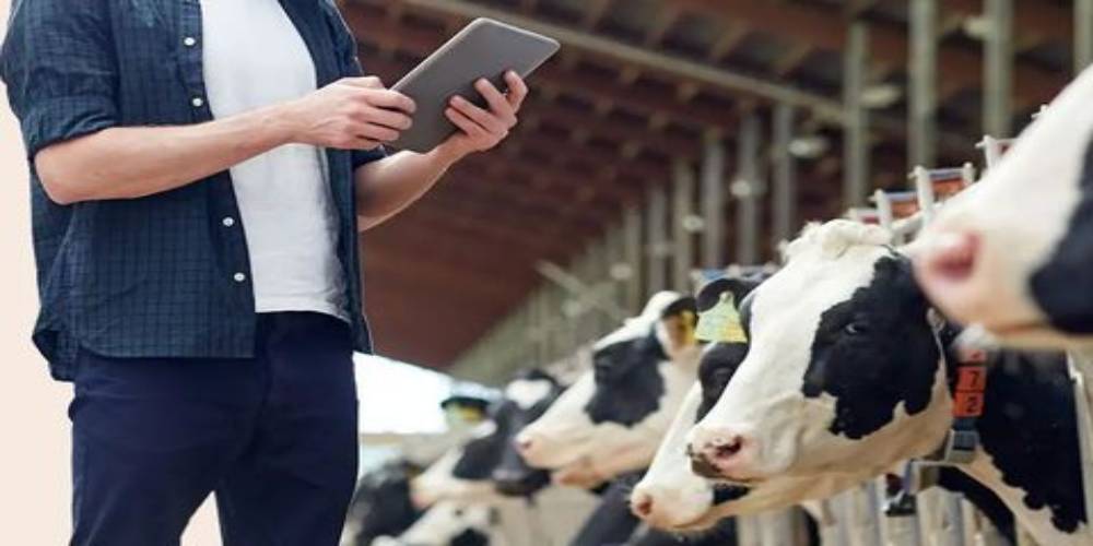 Livestock Record Keeping Software