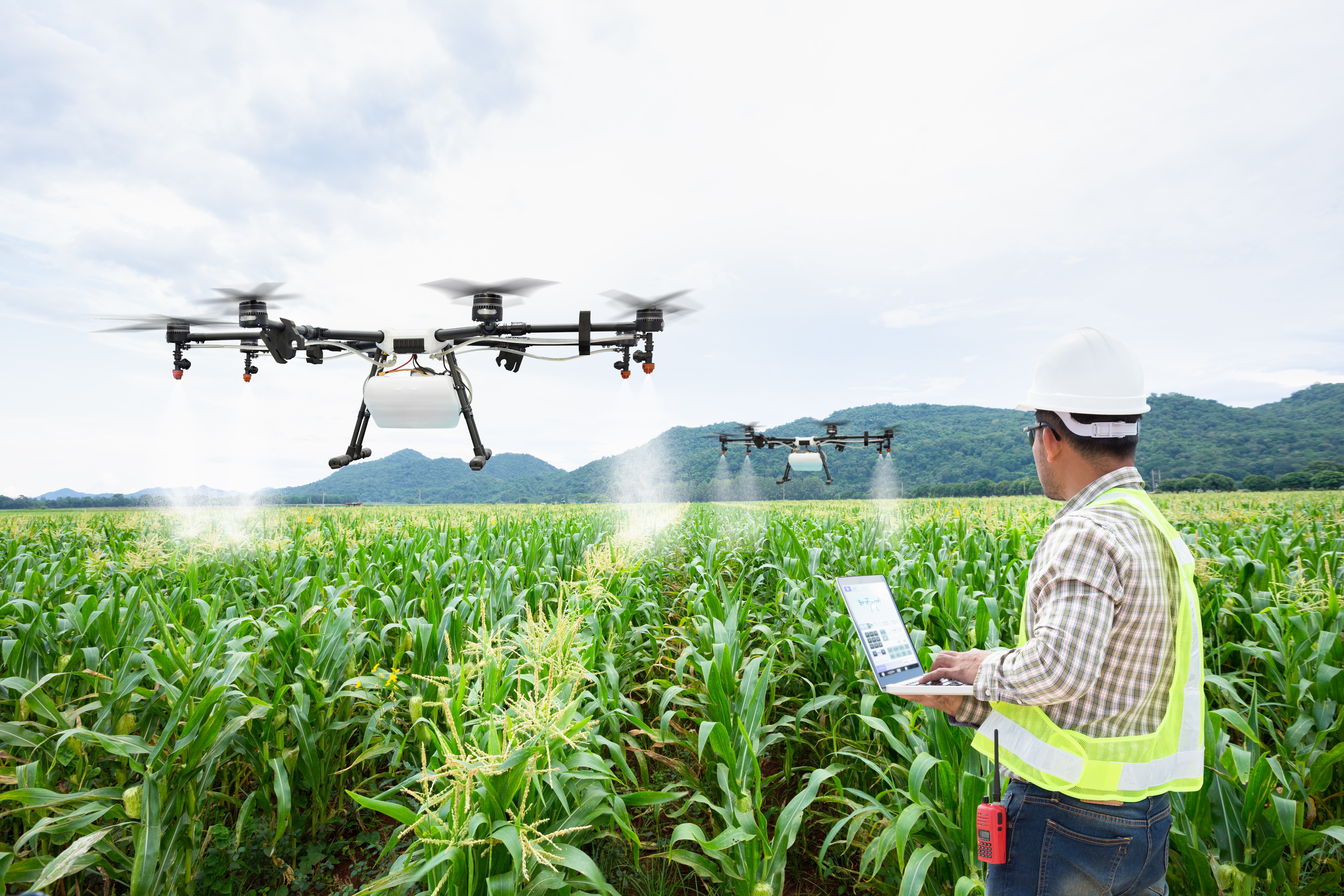 Crop Yield: Increased Productivity With Precision Technologies