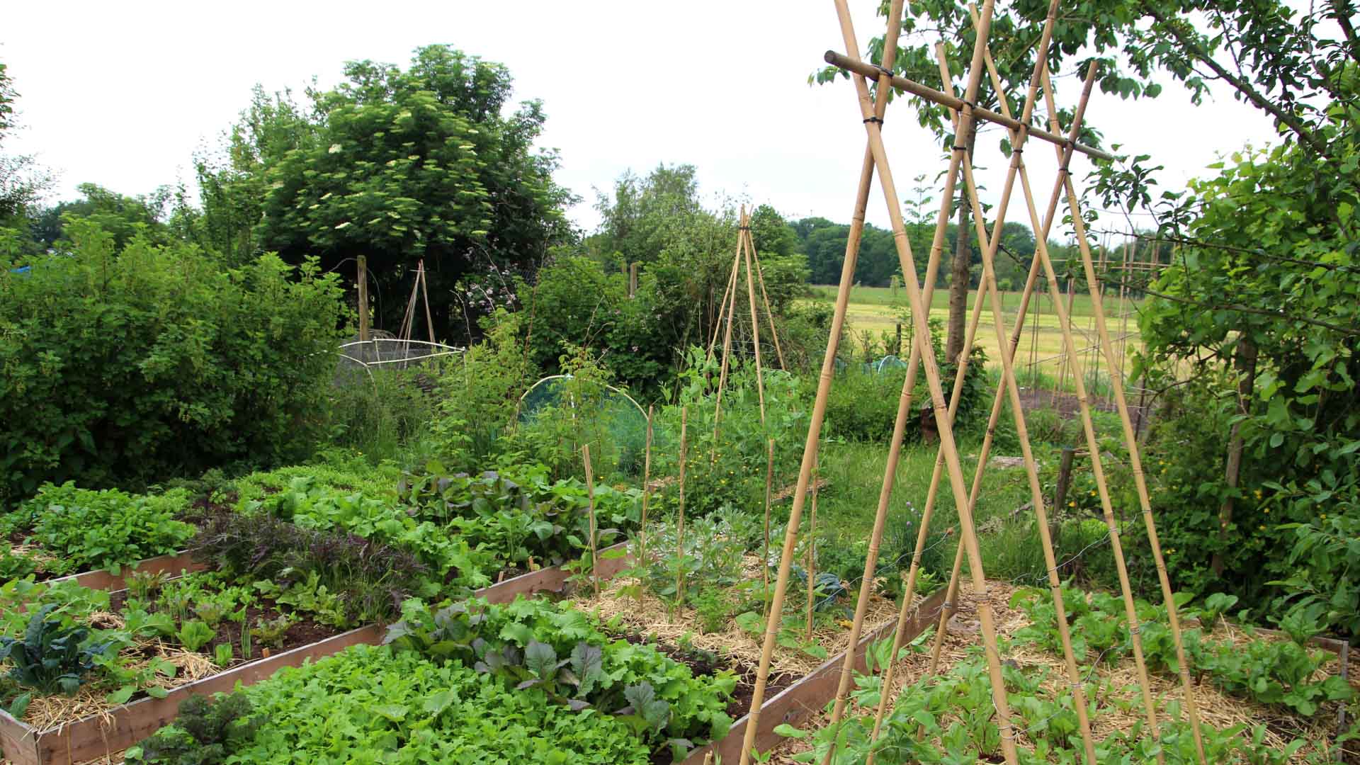 permaculture farming