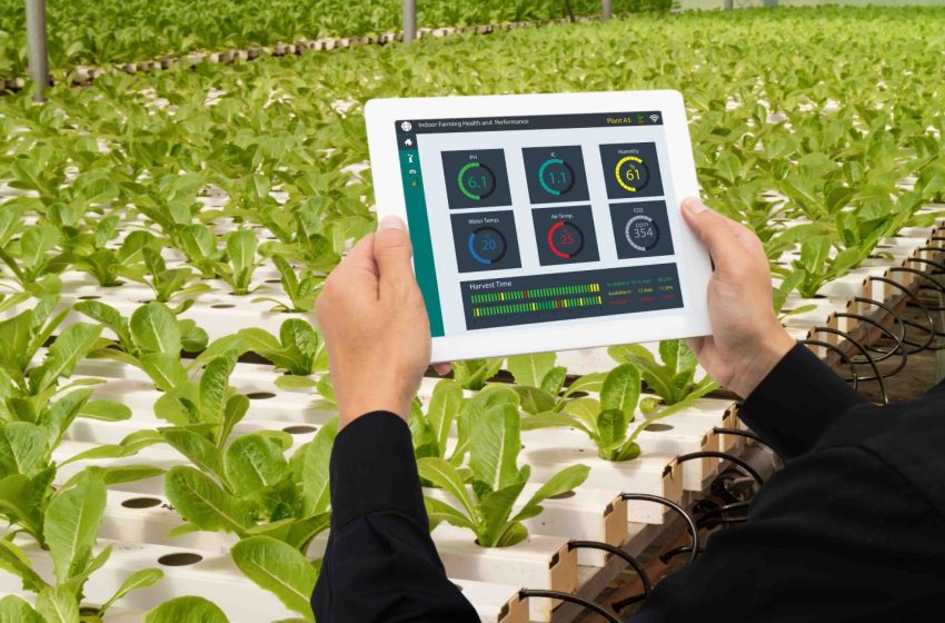  The Benefits of Farm Management Software for Small-Scale Farmers