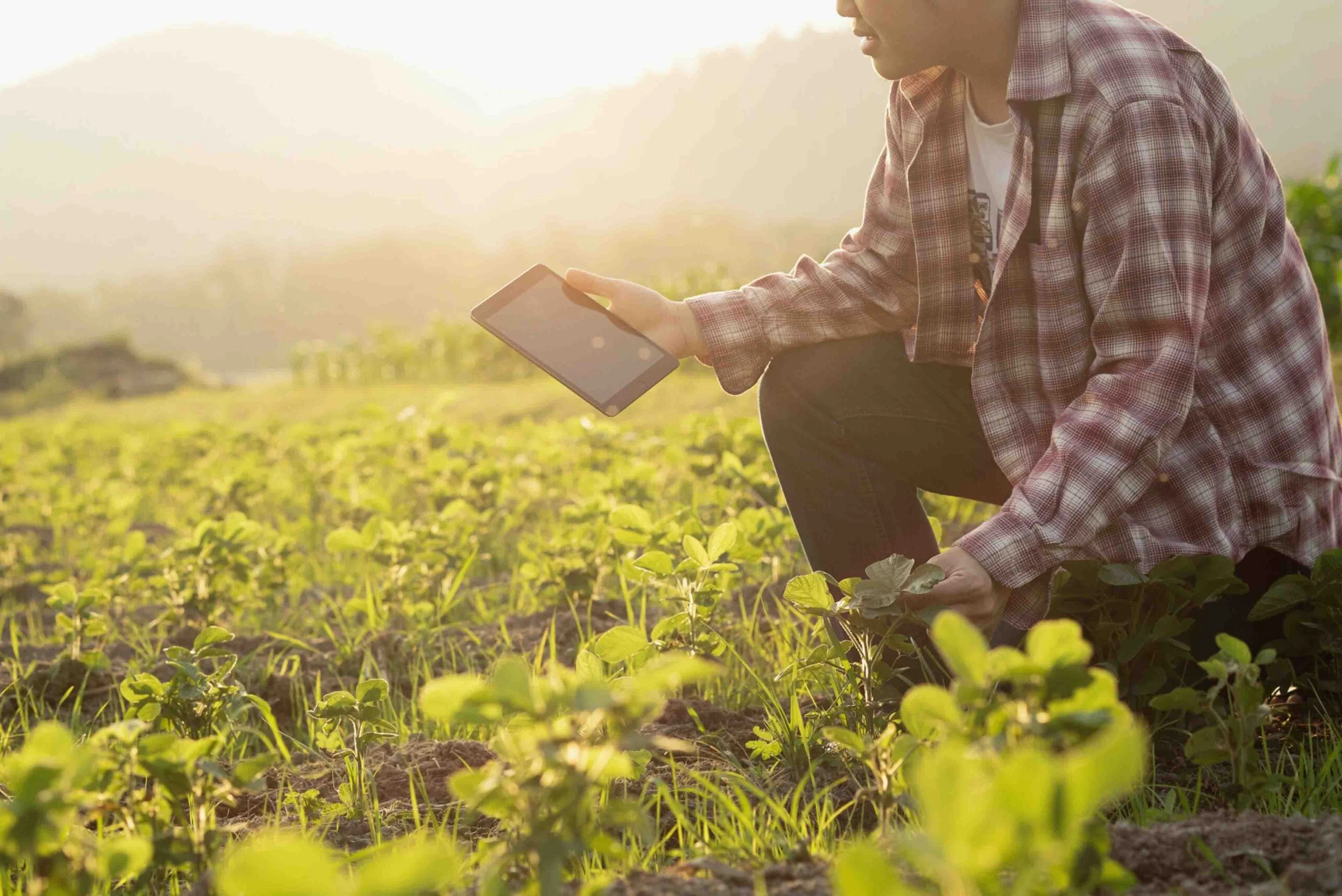 The Role of Farm Labor Management Software in Increasing Productivity
