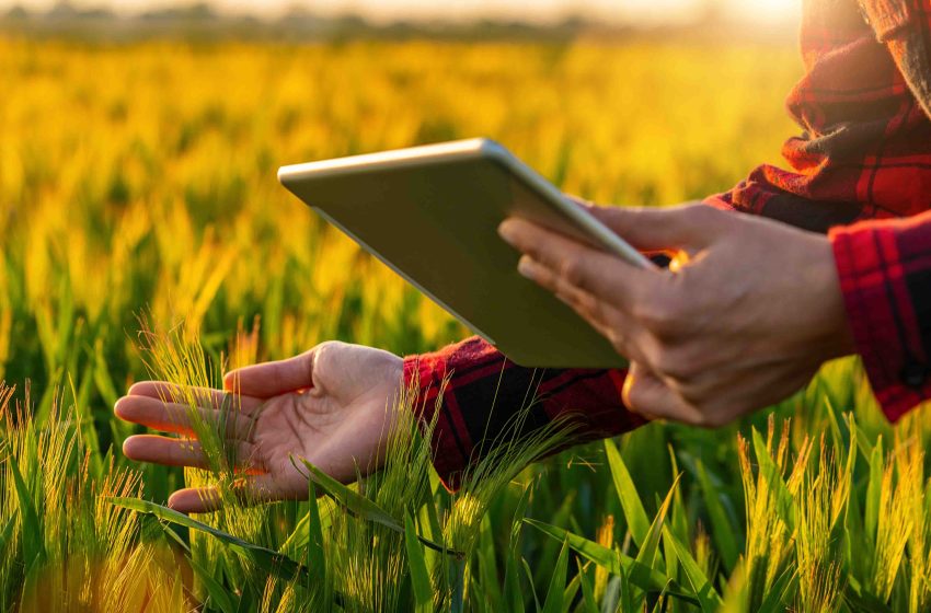 The Benefits of Crop Management Software for Farmers - AgriERP Blog