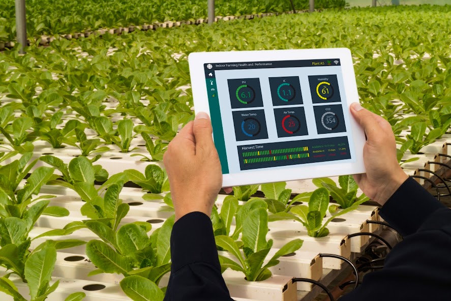 Improving Traceability and Food Safety with AgriERP Traceability Module