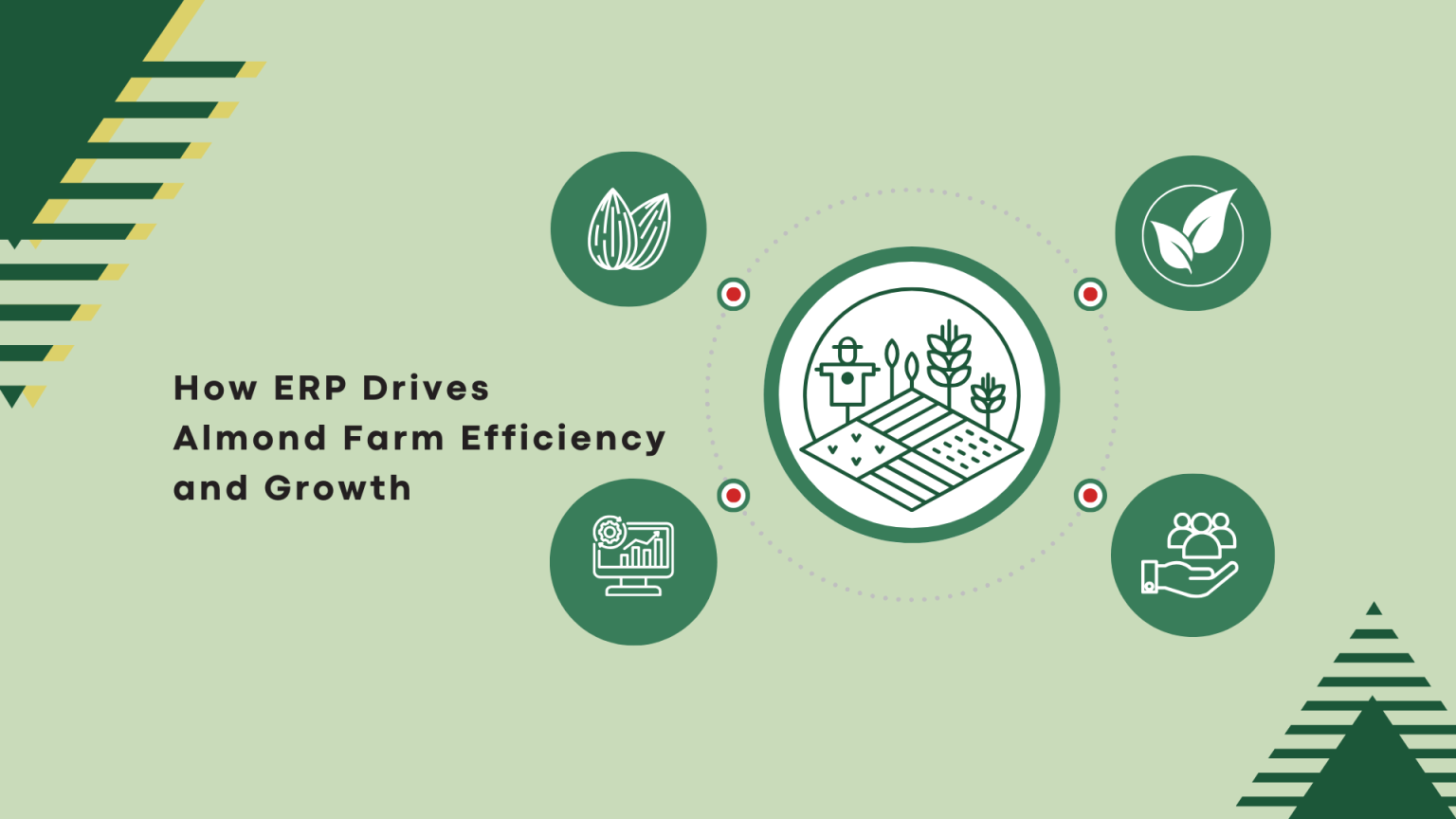 How ERP Drives Almond Farm Efficiency and Growth