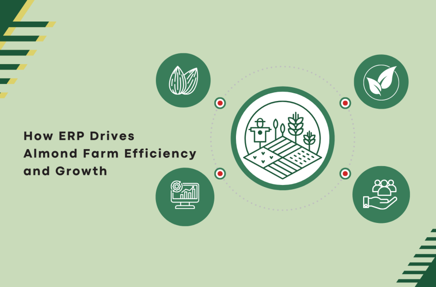 How ERP Drives Almond Farm Efficiency and Growth