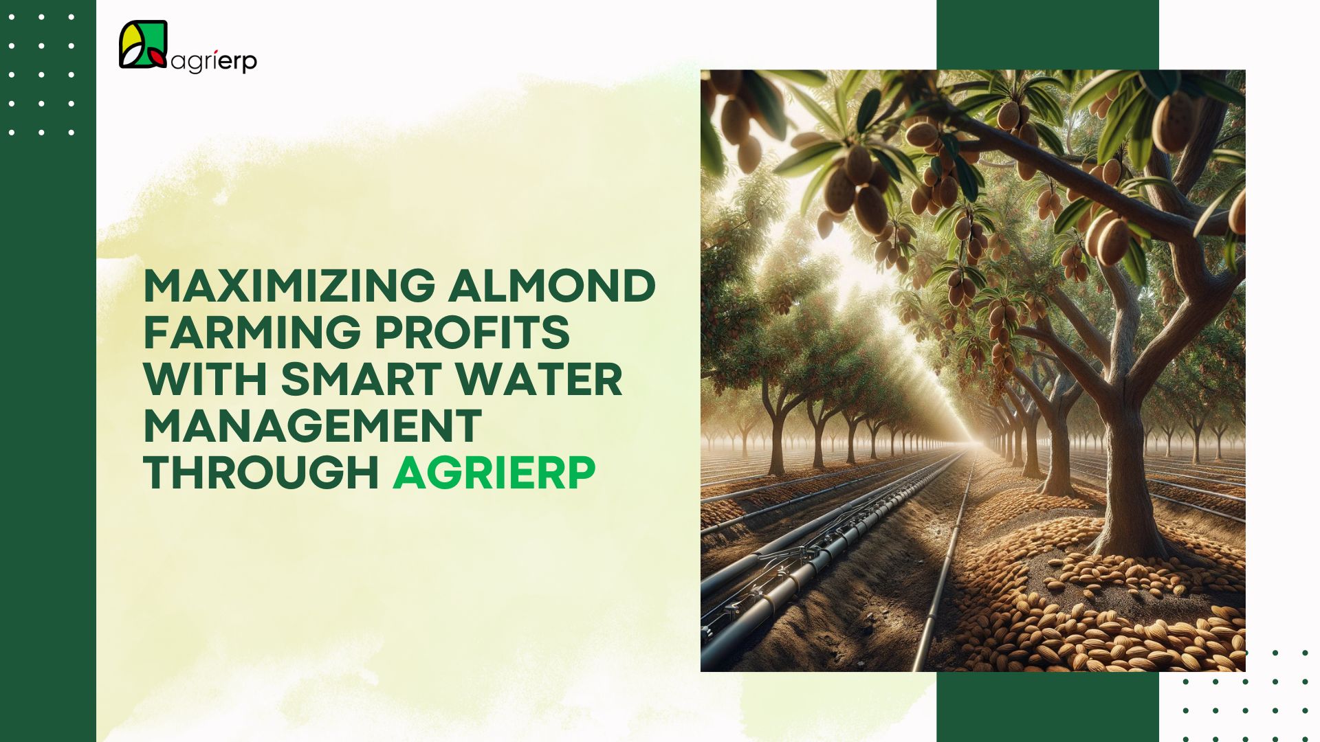 reduce water usage in almond farming