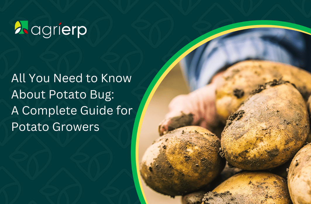All You Need to Know About Potato Bug_ A Complete Guide for Potato Growers