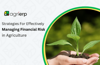 Financial Risk Management in Agriculture