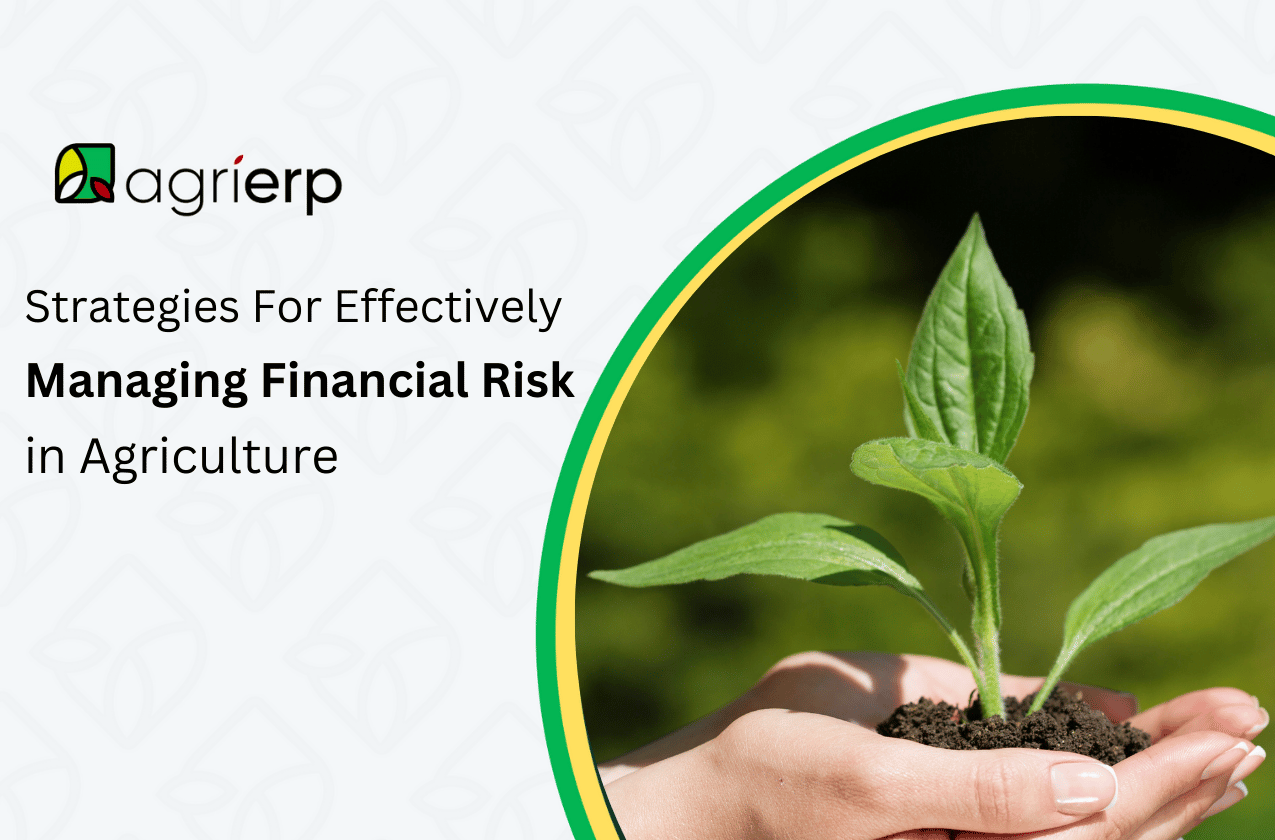 Strategies For Effectively Managing Financial Risk in Agriculture