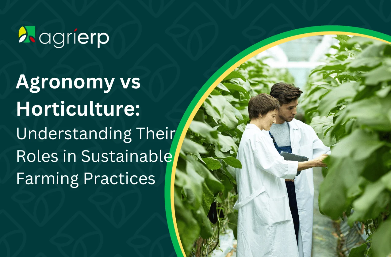 Agronomy-vs-Horticulture_-Understanding-Their-Roles-in-Sustainable-Farming-Practices
