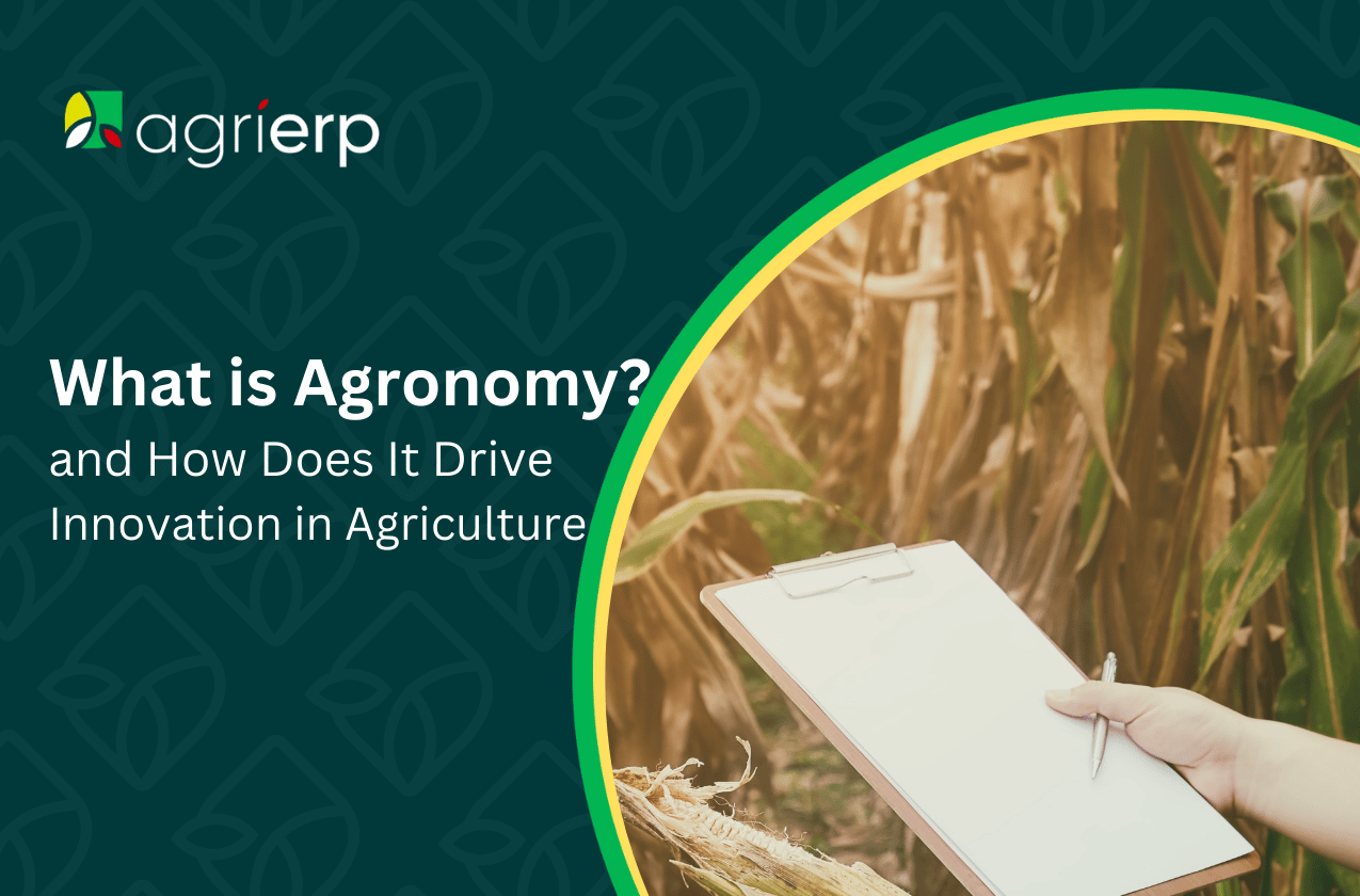 What is Agronomy and How Does It Drive Innovation in Agriculture