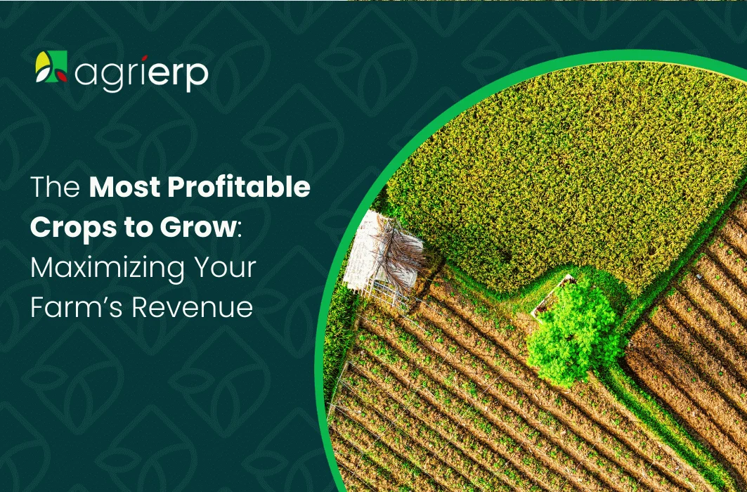 The-Most-Profitable-Crops-to-Grow_-Maximizing-Your-Farms-Revenue