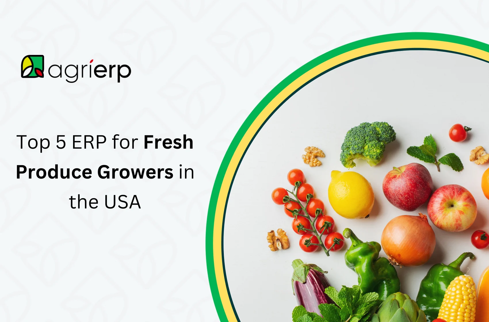 Top 5 ERP for Fresh Produce Growers in the USA