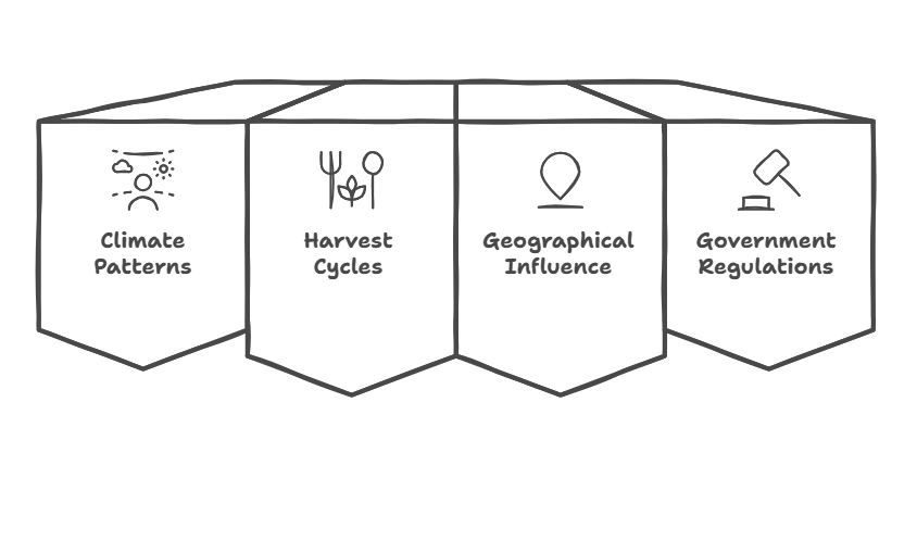 Key Drivers of Seasonality