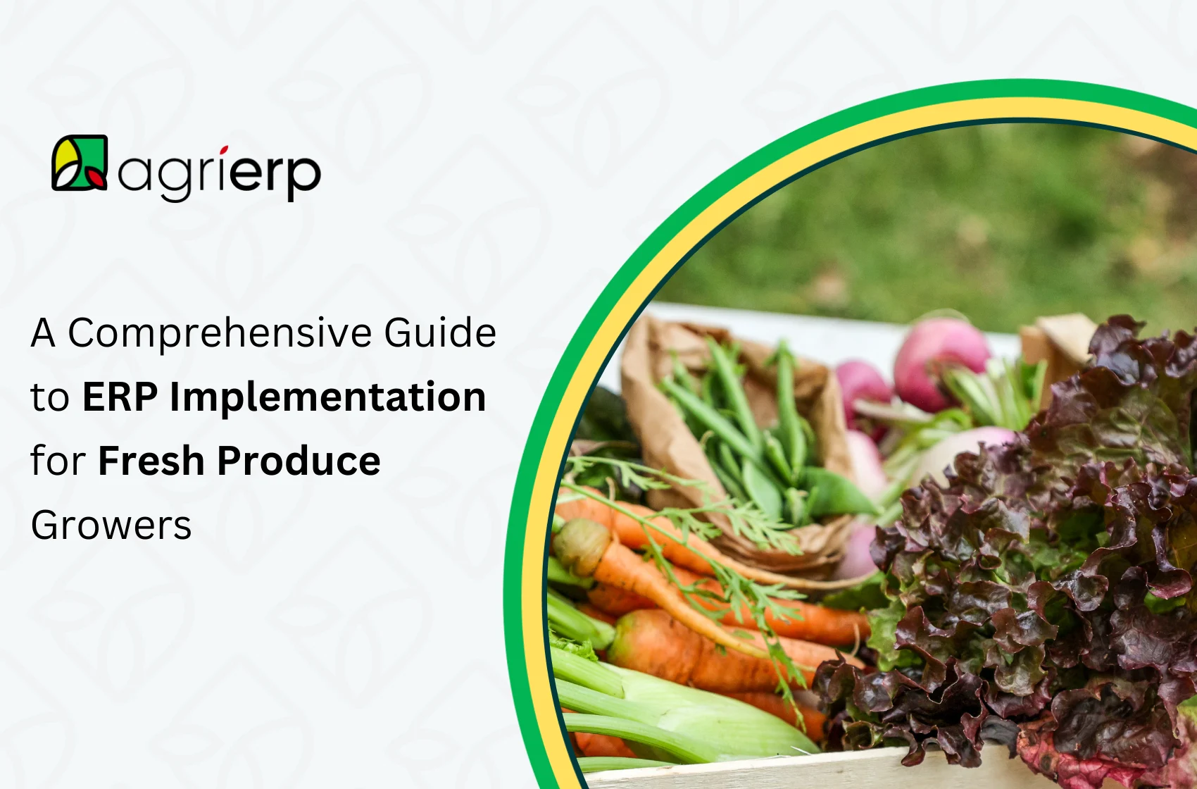 A Comprehensive Guide to ERP Implementation for Fresh Produce Growers