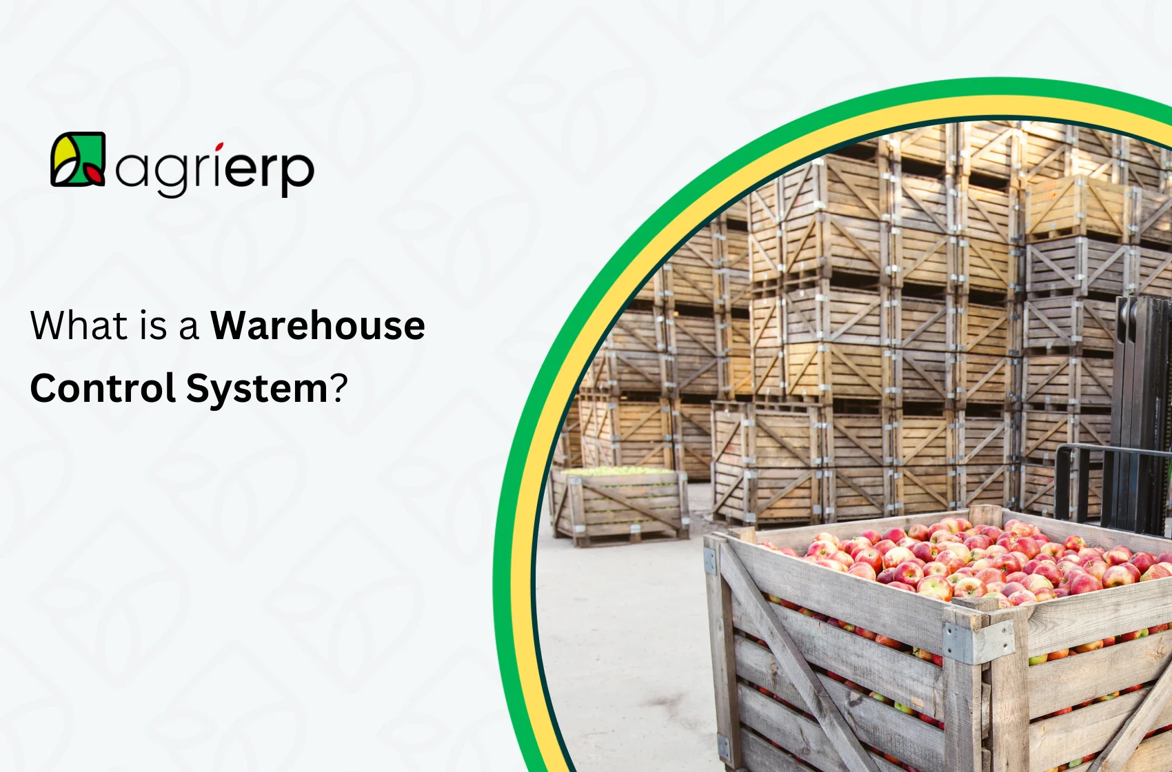 What is a Warehouse Control System?