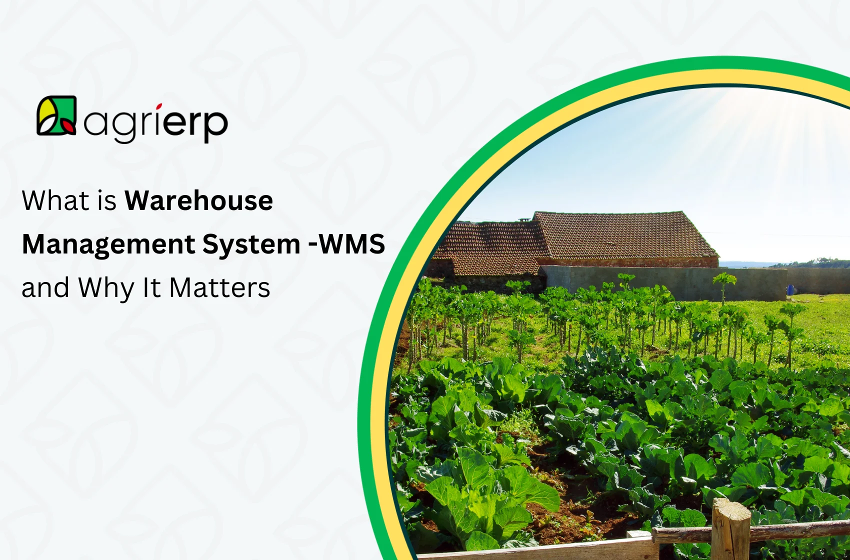 What is Warehouse Management System (WMS) and Why It Matters