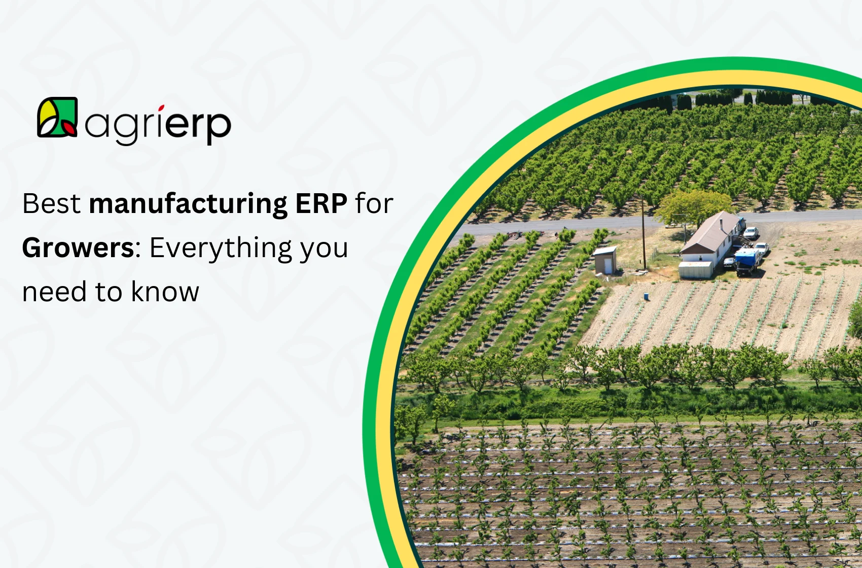 Best manufacturing erp for Growers: Everything you need to know