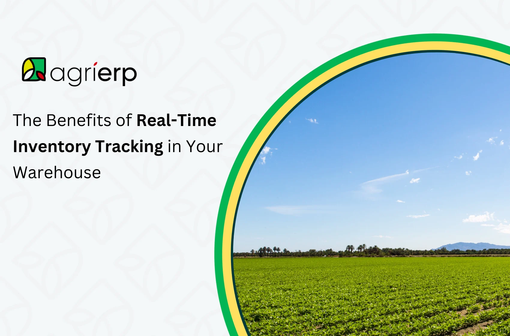 The Benefits of Real-Time Inventory Tracking in Your Warehouse