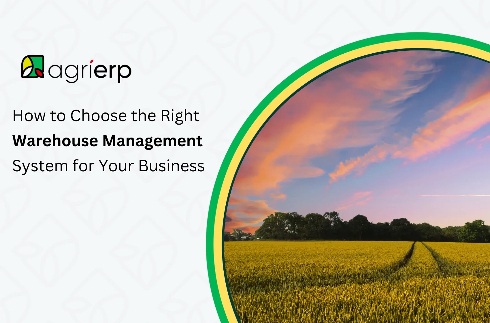How to Choose the Right Warehouse Management System for Your Business