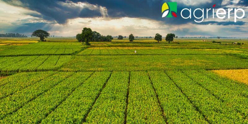 importance of traceability in agriculture