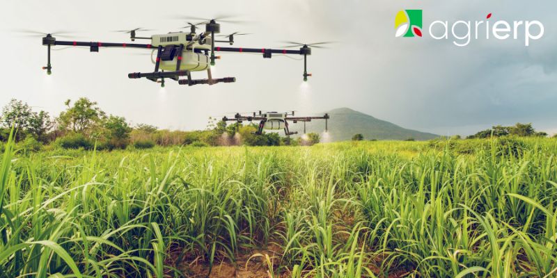 innovation in agriculture