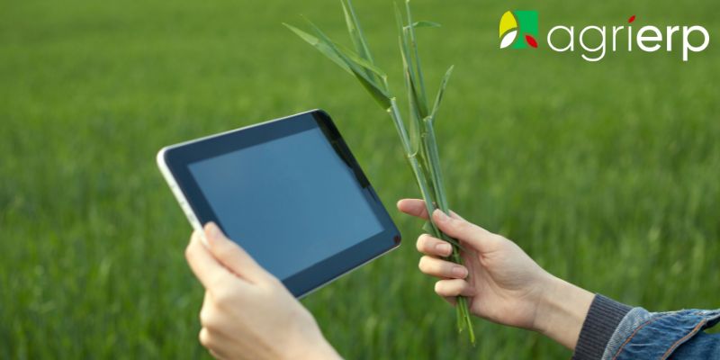 integrated tech drives sustainability