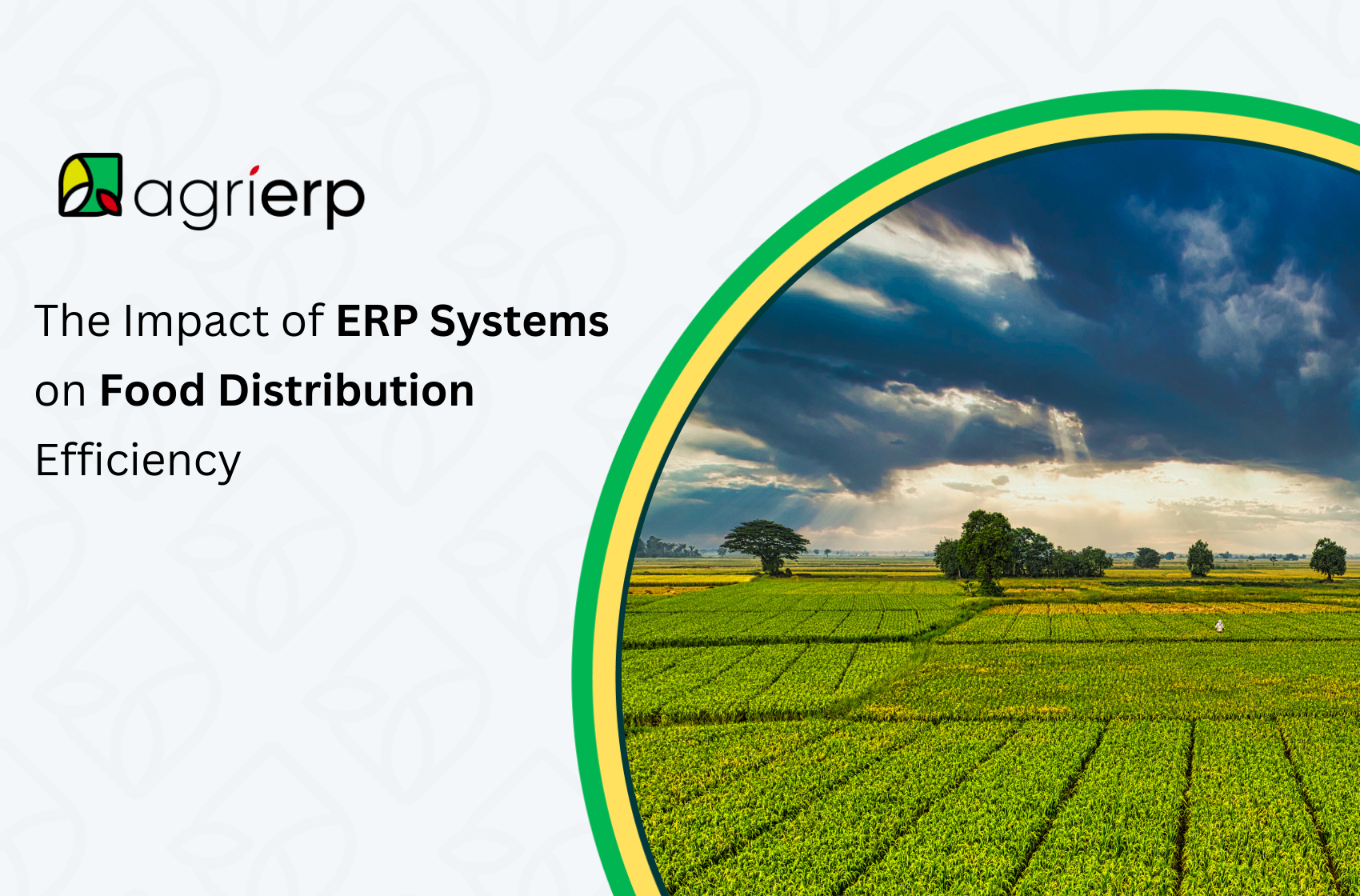 The Impact of ERP Systems on Food Distribution Efficiency
