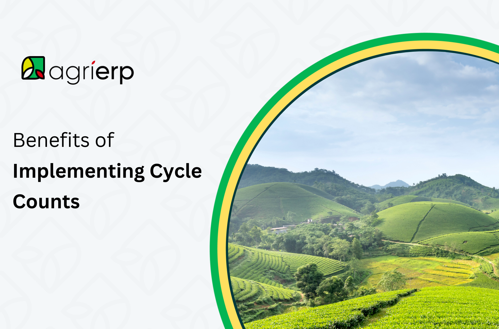 Benefits of Implementing Cycle Counts