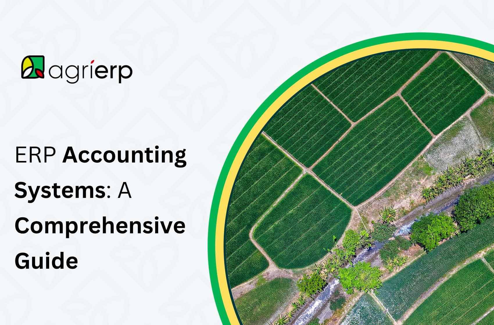 ERP Accounting Systems: A Comprehensive Guide