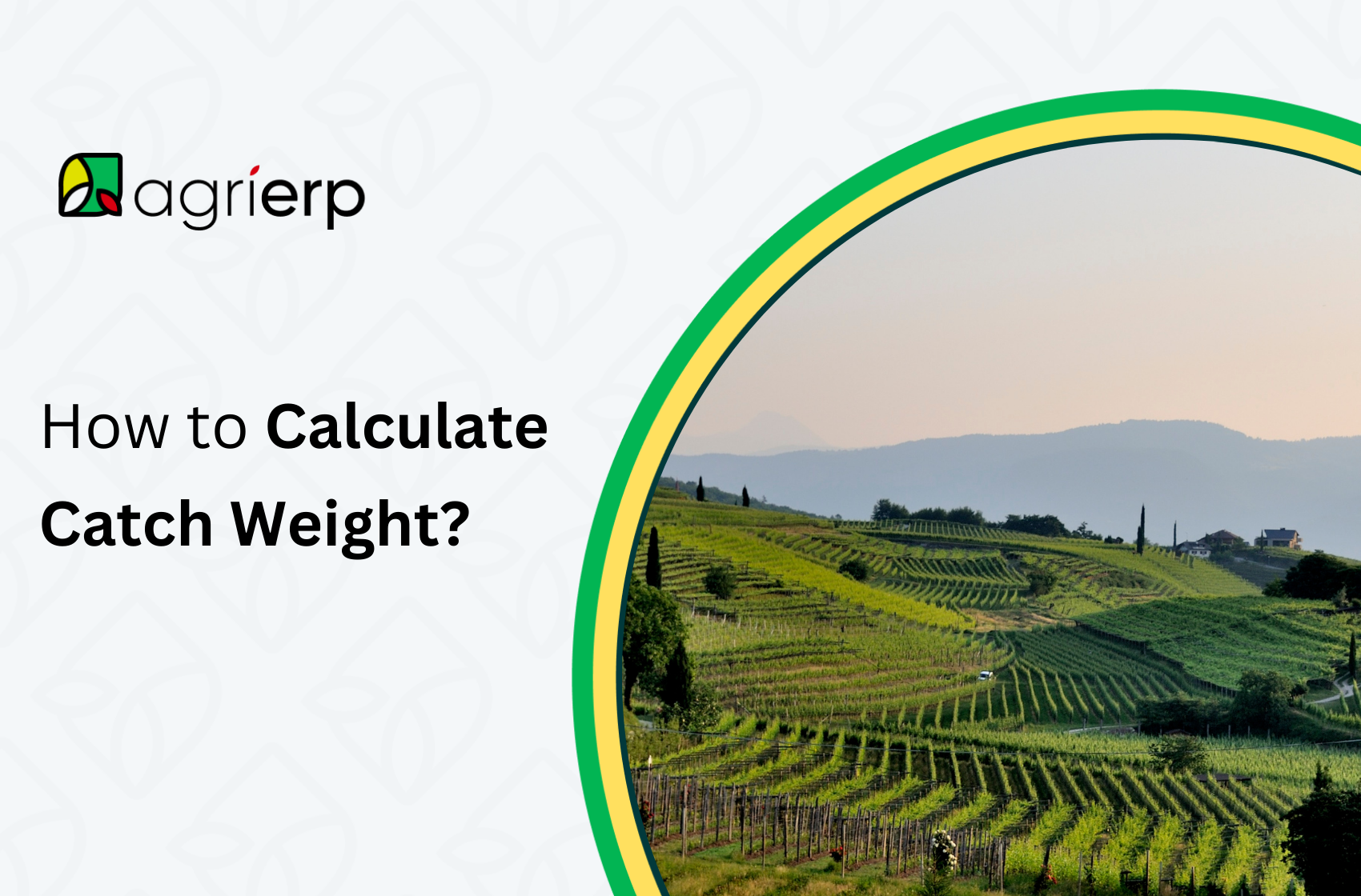calculate catch weight in agriculture