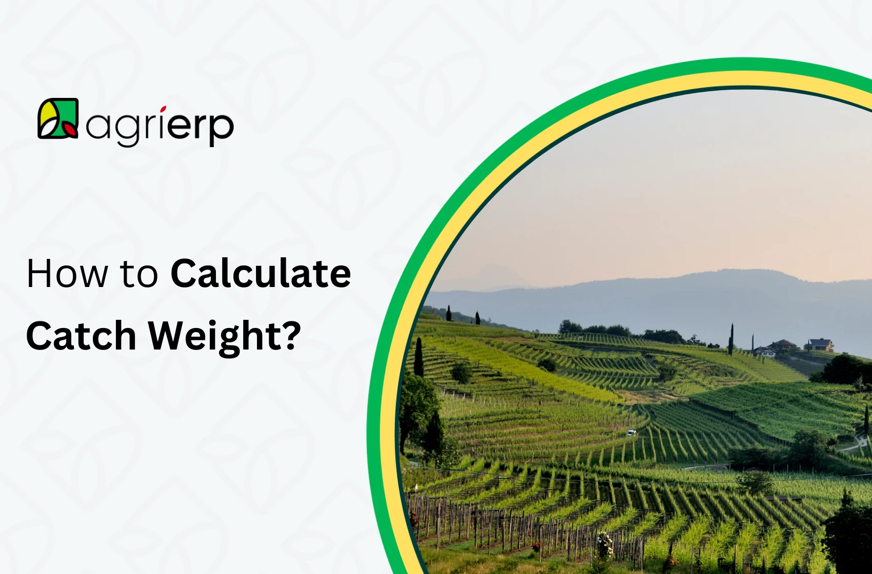 calculate catch weight in agriculture