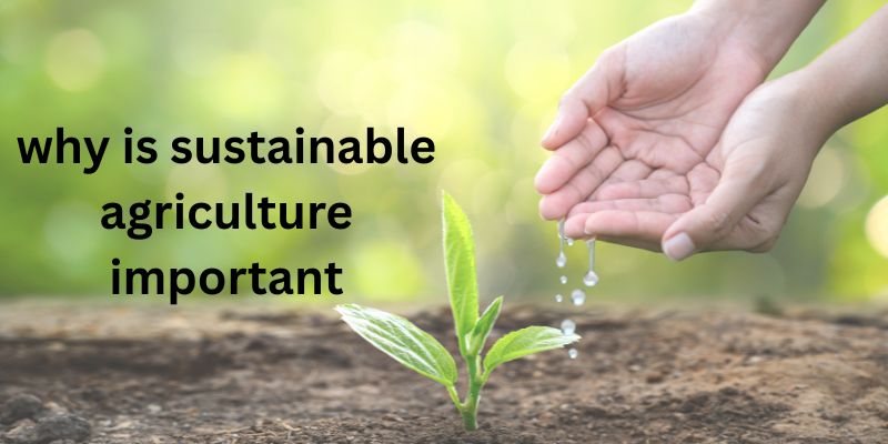 why is sustainable agriculture important
