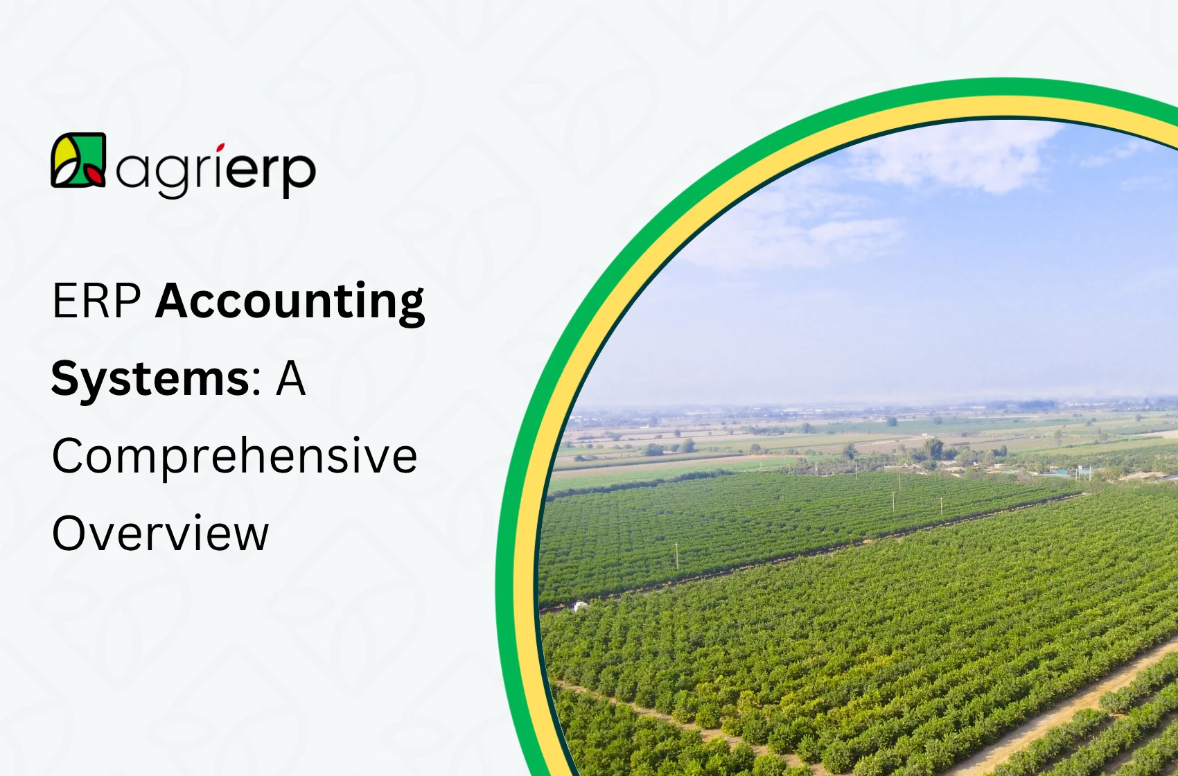 ERP Accounting Systems: A Comprehensive Overview