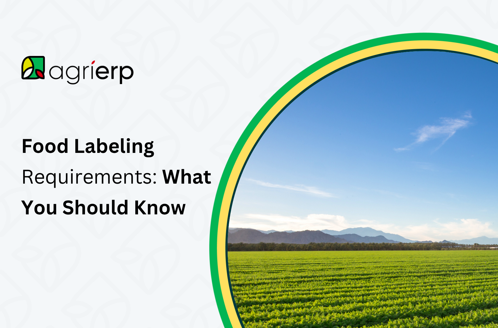 food labeling requirements what you should know