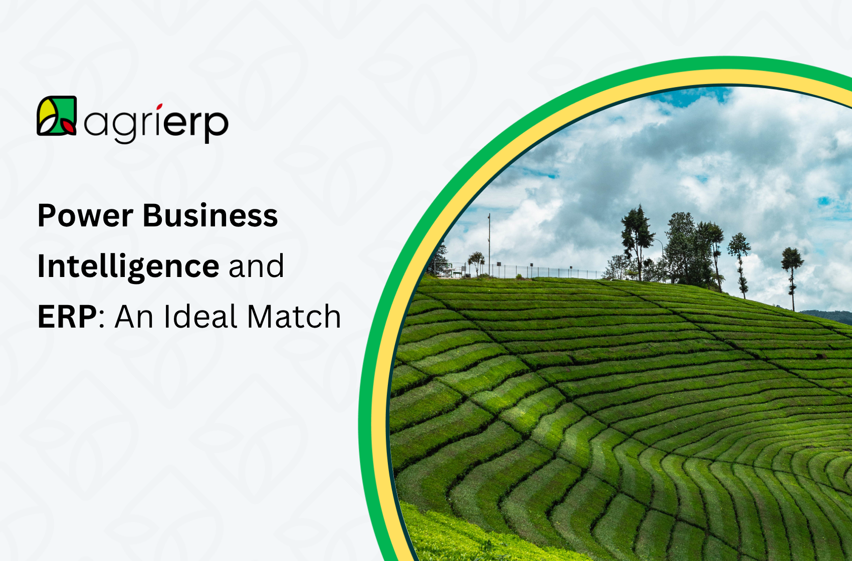 power business intelligence and erp an ideal match