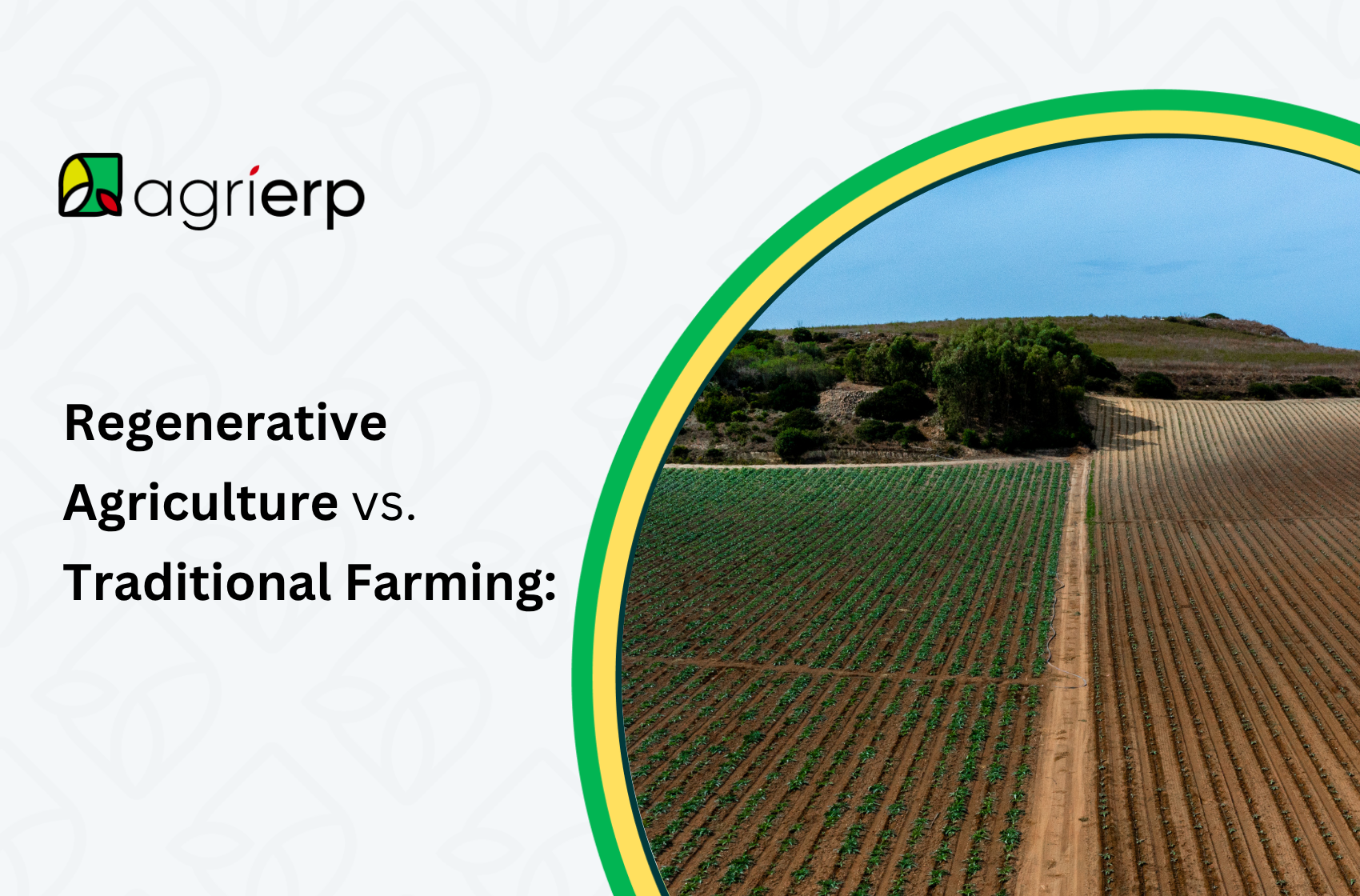 regenerative agriculture vs. traditional farming building a sustainable future for soil and food security