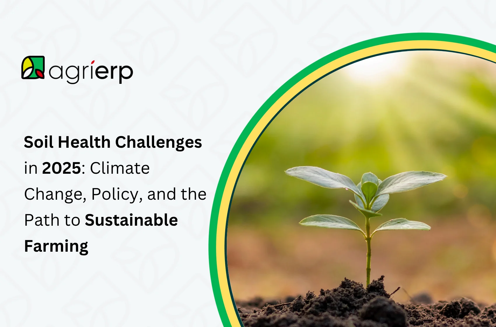 soil health challenges in 2025 climate change, policy, and the path to sustainable farming