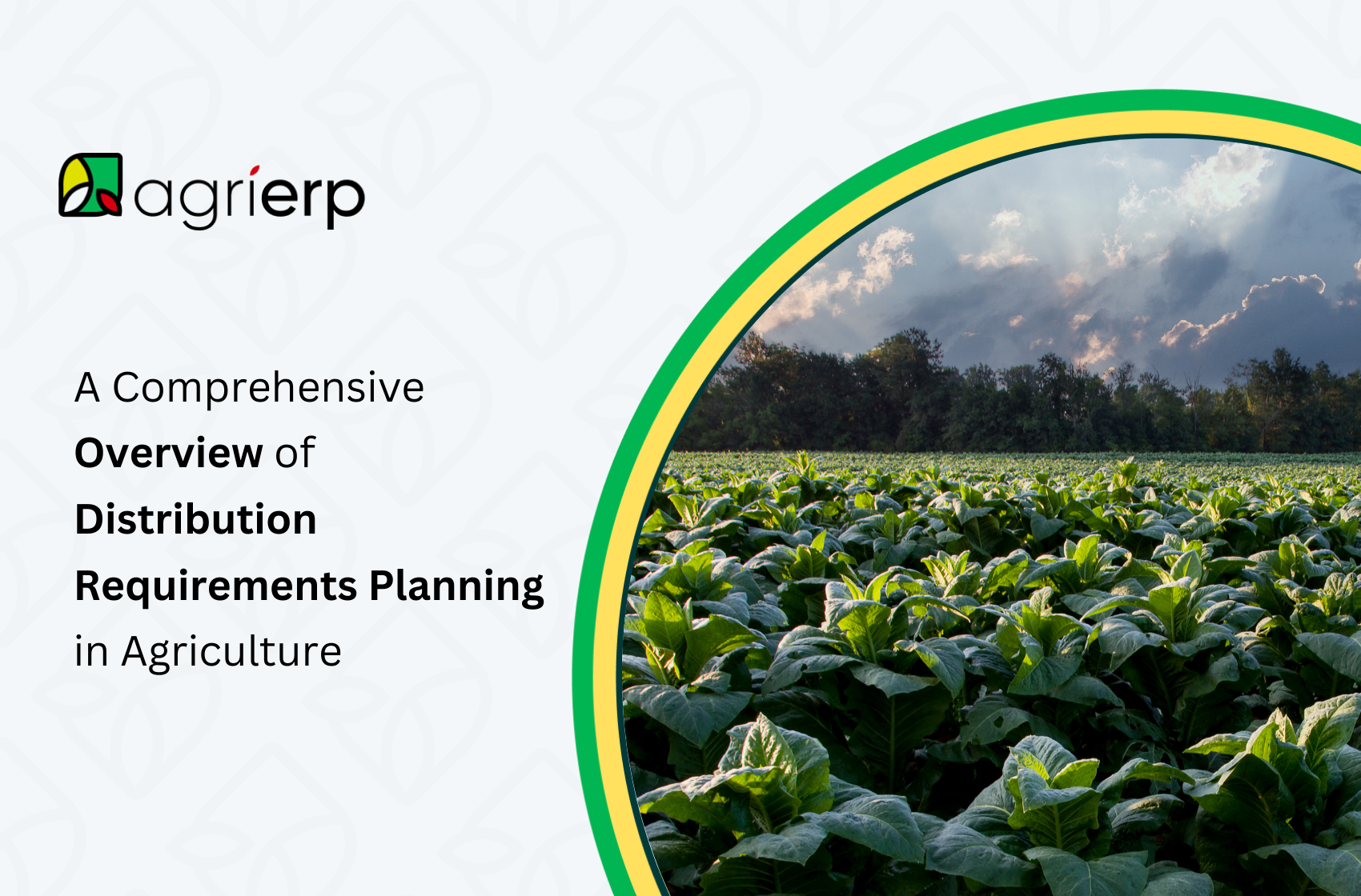 a comprehensive overview of distribution requirements planning in agriculture