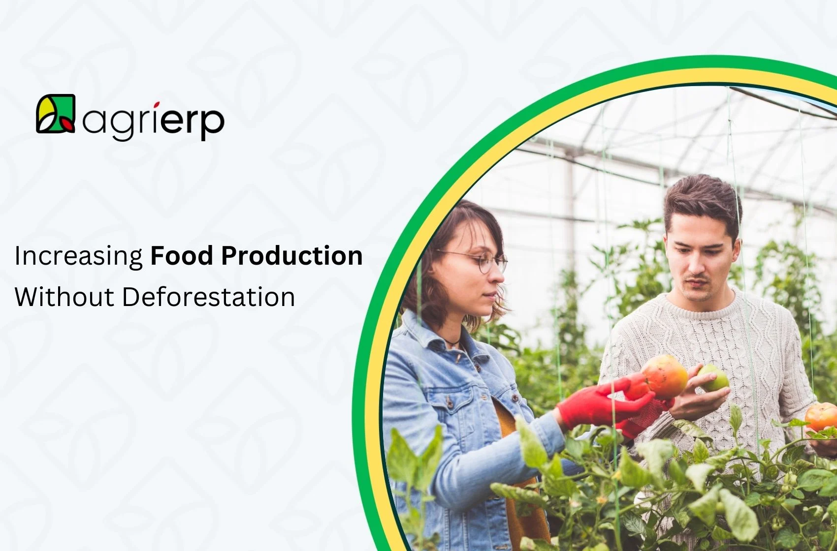 increasing food production without deforestation