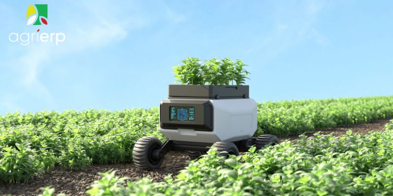powerful ai use cases in farm management