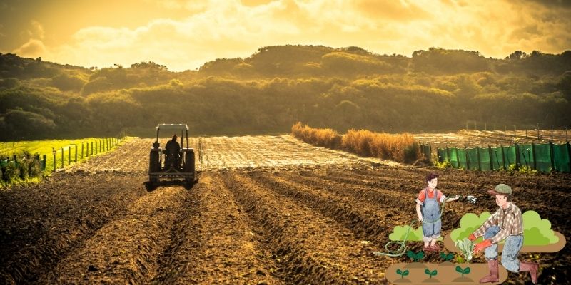strategies to increase food production without deforestation