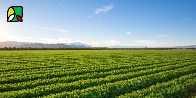 why tracking farm costs is crucial for sustainable growth