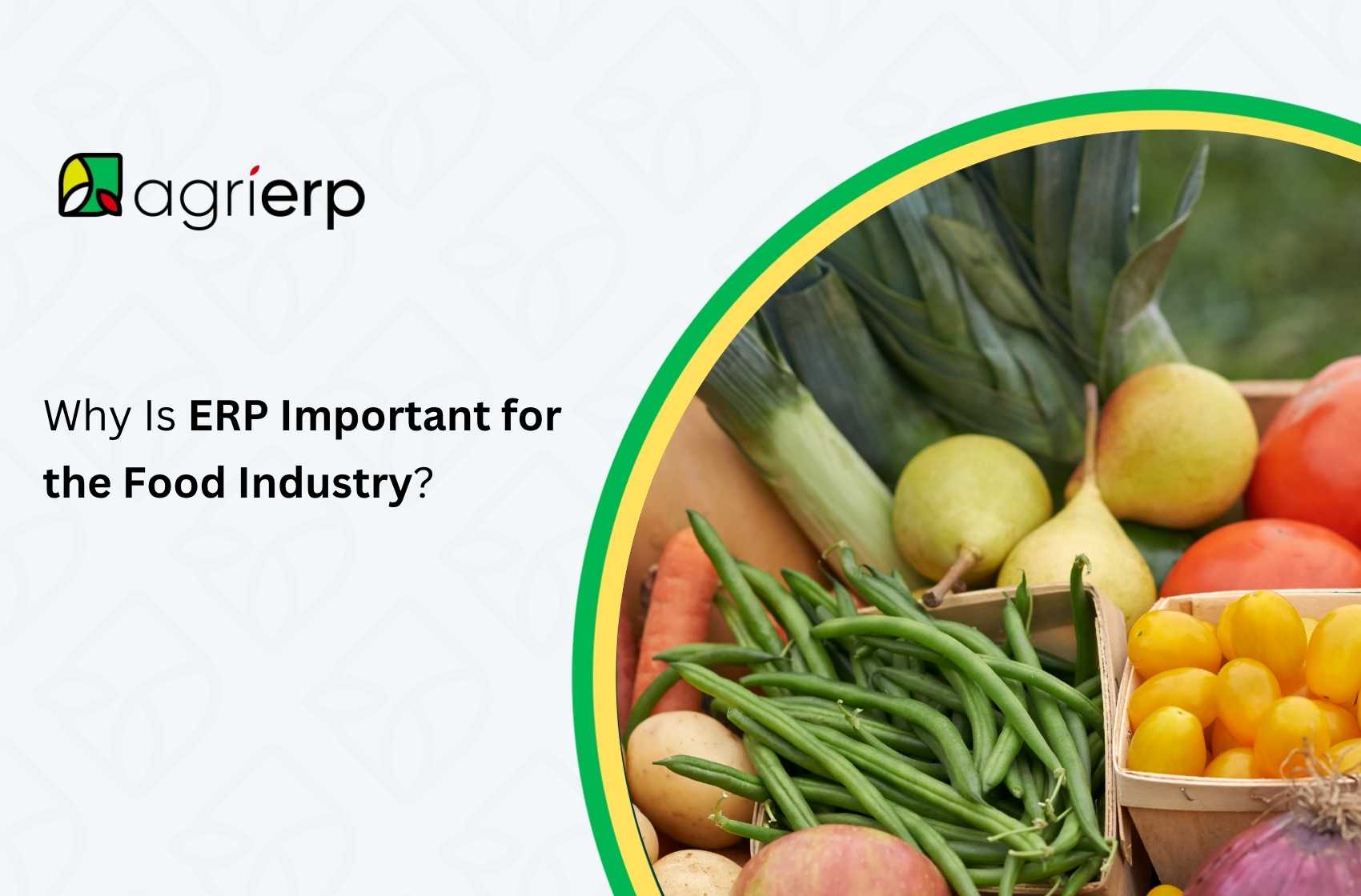 importance of erp in the food industry