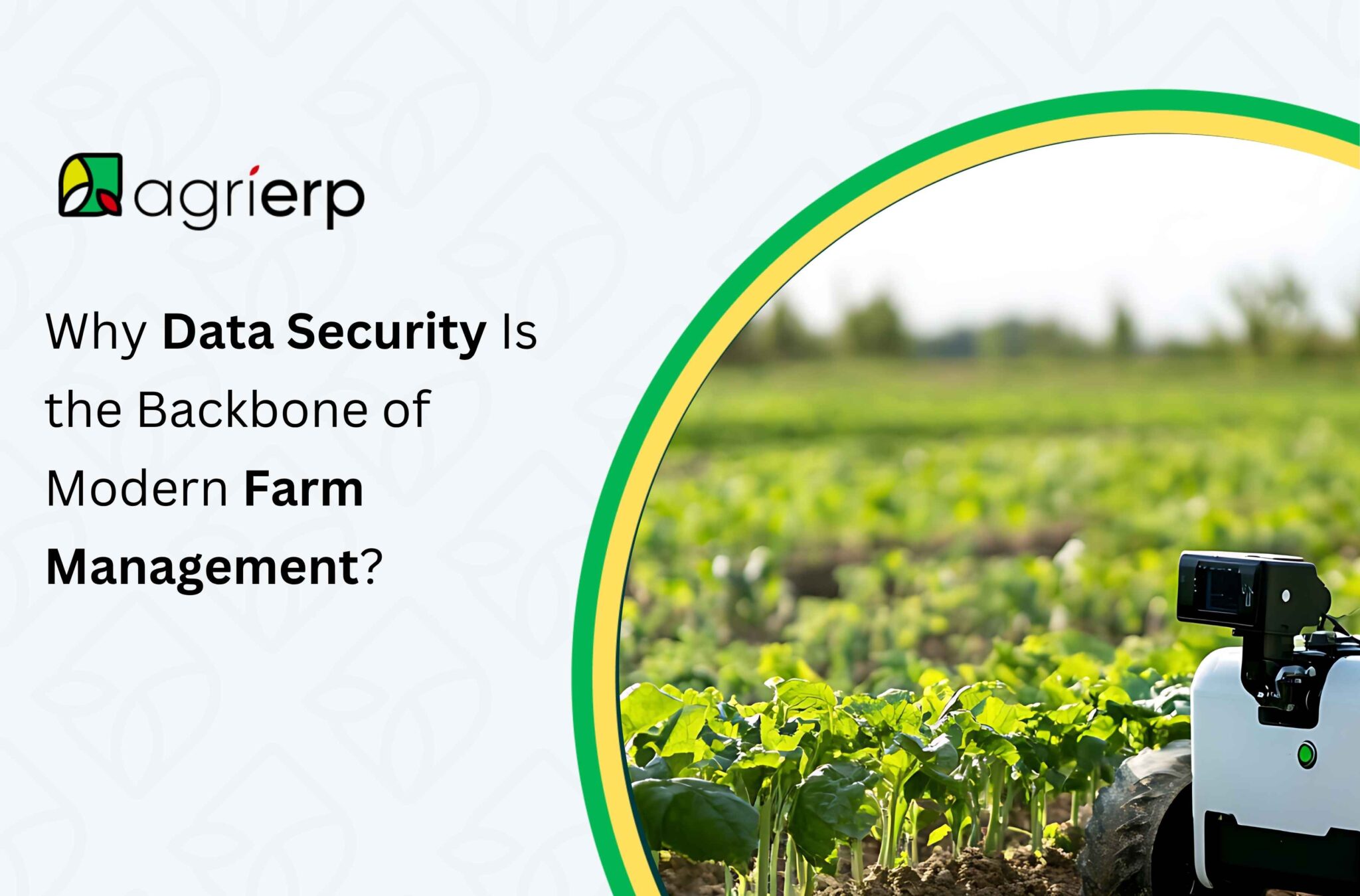 Why Data Security Is the Backbone of Modern Farm Management?