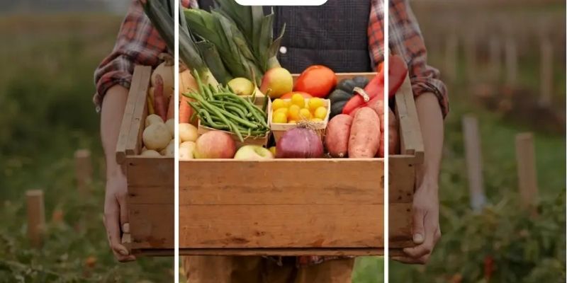 how food erp automates each process