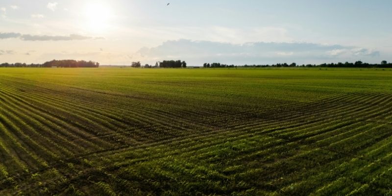 key factors when selecting a row crop erp system