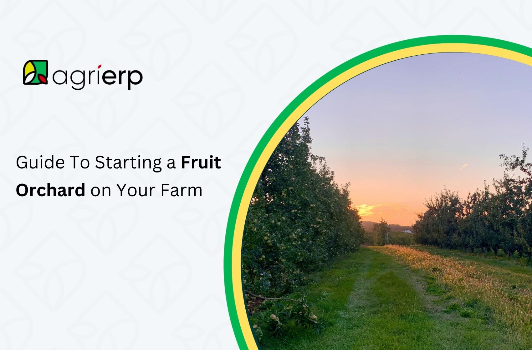 guide to starting a fruit orchard on your farm