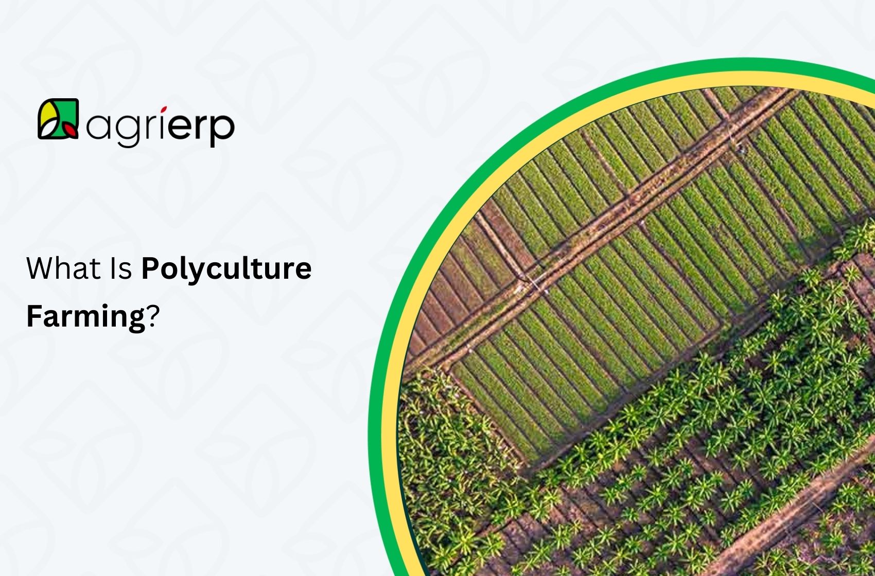 polyculture farming